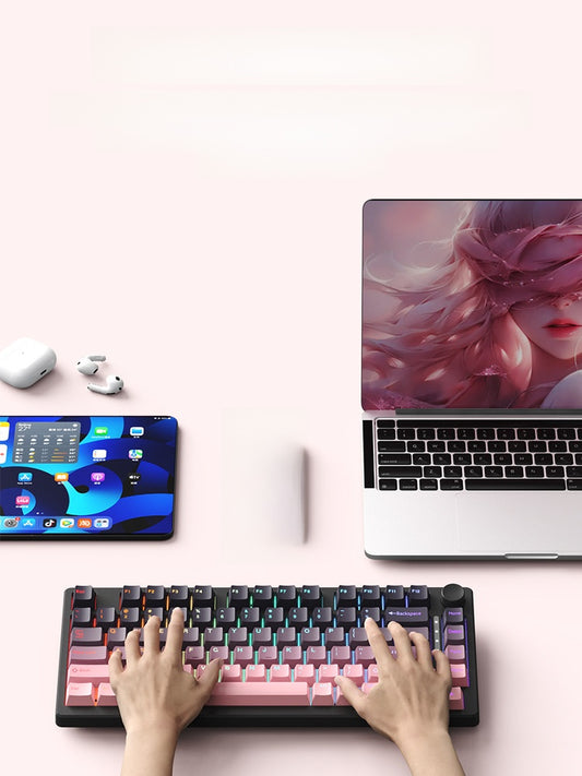 Ruiyi F75 Wireless Mechanical Keyboard