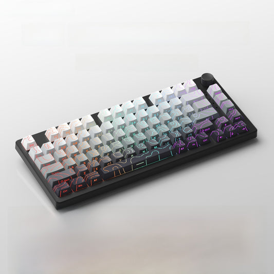 Ruiyi F75 Wireless Mechanical Keyboard