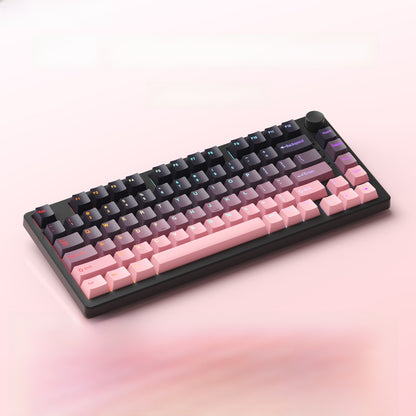 Ruiyi F75 Wireless Mechanical Keyboard