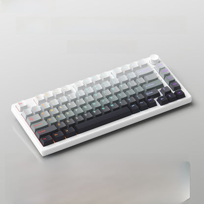 Ruiyi F75 Wireless Mechanical Keyboard