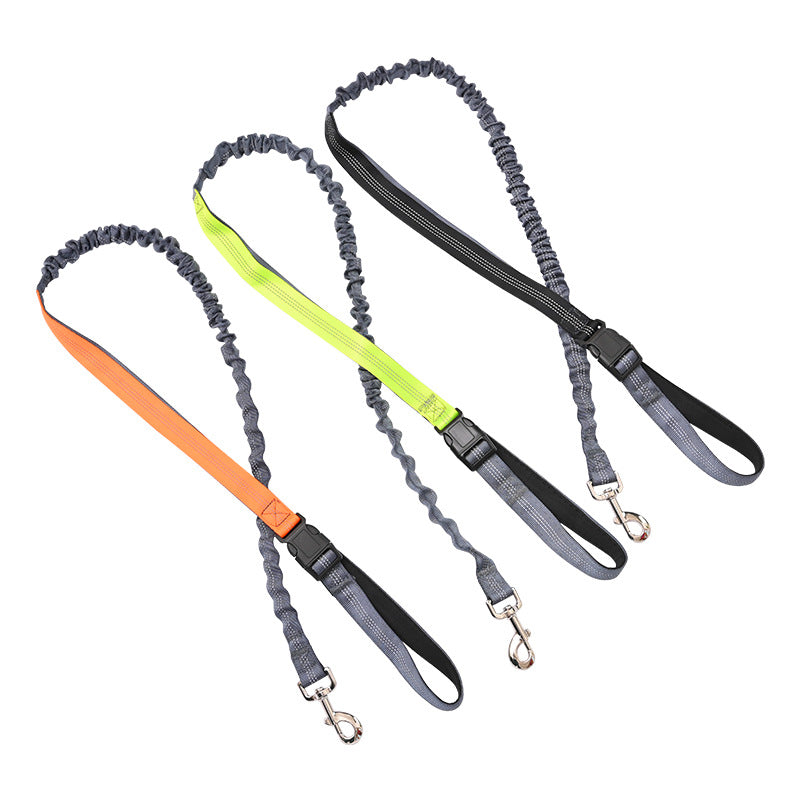 Running dog leash