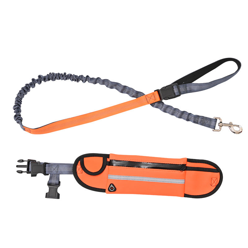 Running dog leash