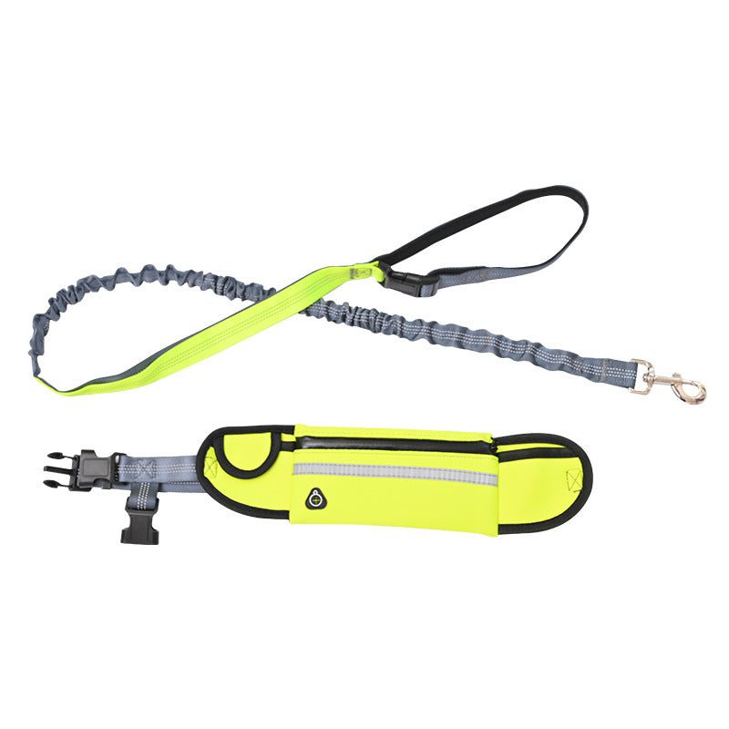 Running dog leash