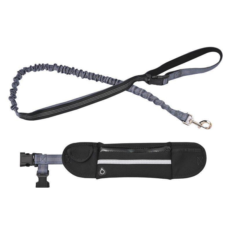 Running dog leash