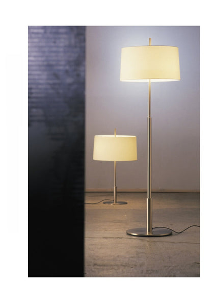 Scandinavian Minimalist LED Floor and Table Lamp