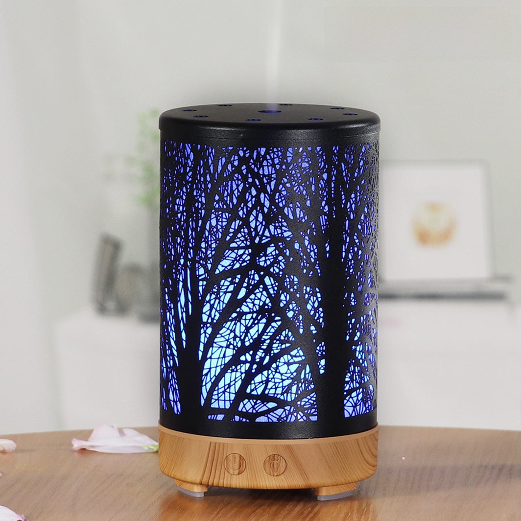 Scent diffuser, desktop humidifier