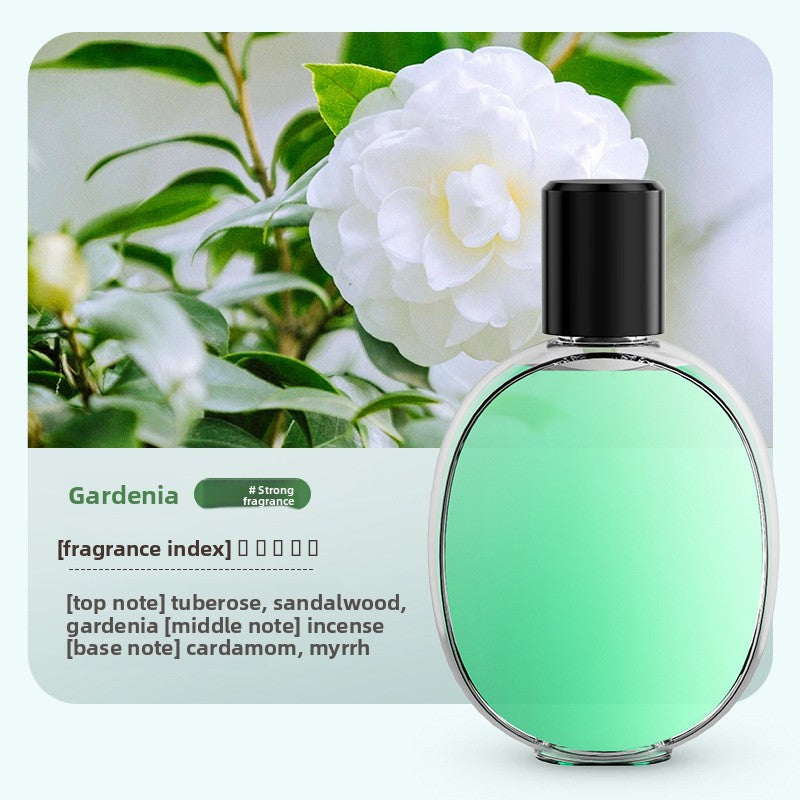 Scent diffuser fragrance spray