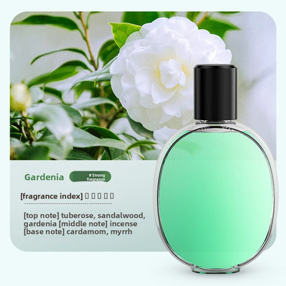Scent diffuser fragrance spray
