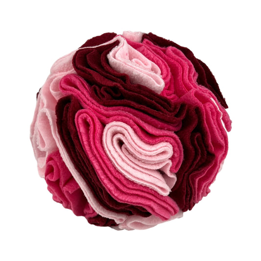 Scented Pet Puzzle Toy