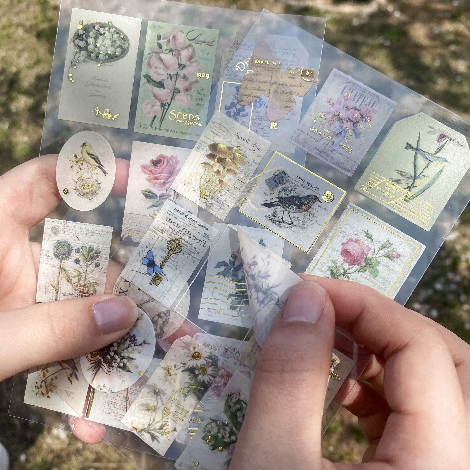 scrapbooking sticker