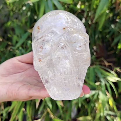 Sculpting Skull