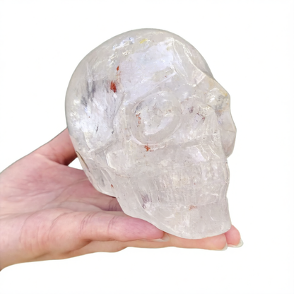 Sculpting Skull