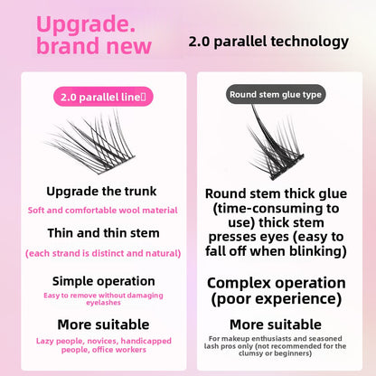Sectioned false eyelashes