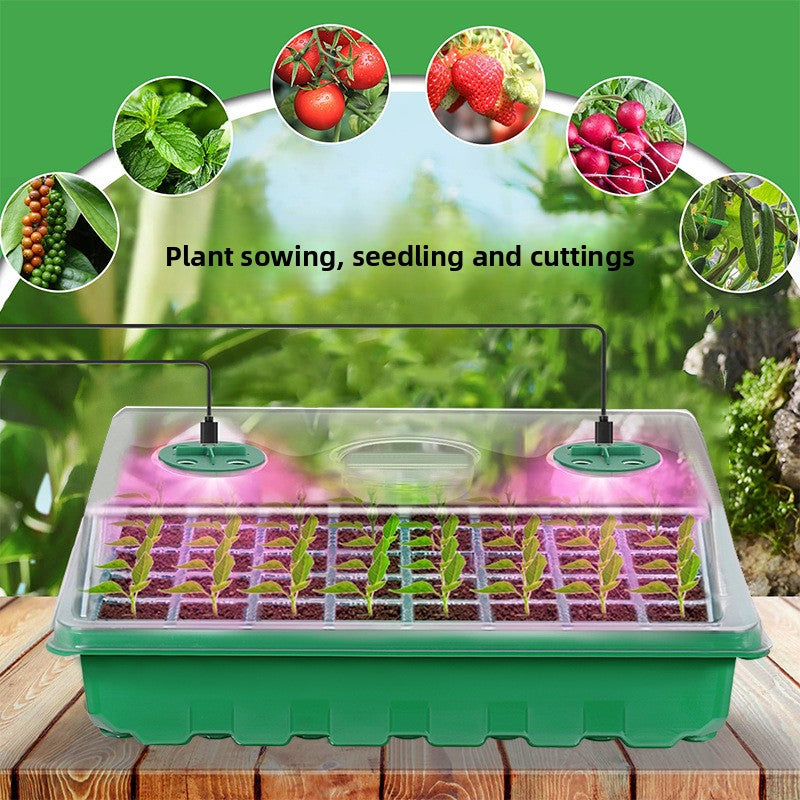 Seedling Growing Box