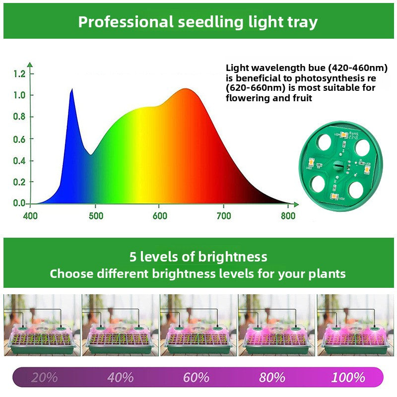 Seedling Growing Box
