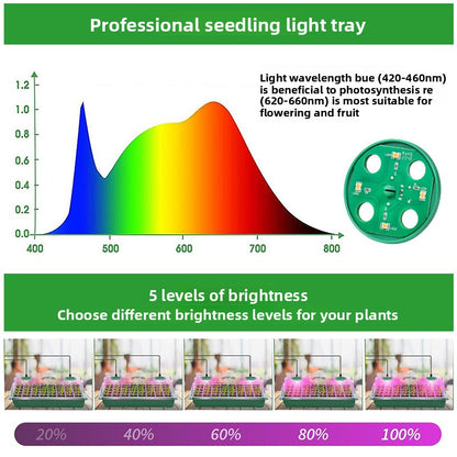 Seedling Growing Box