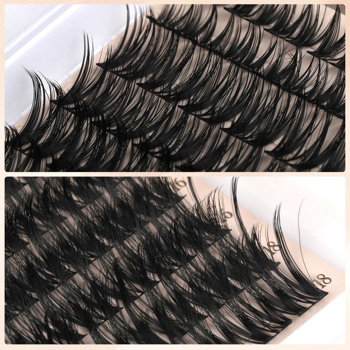 Segmented false eyelashes