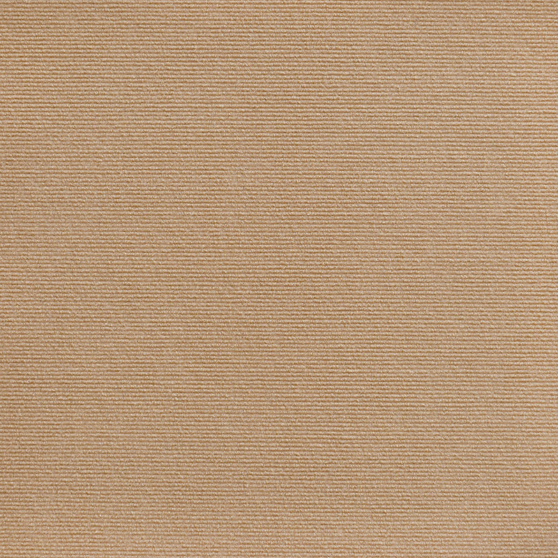 Self-Adhesive Cat Scratching Pad