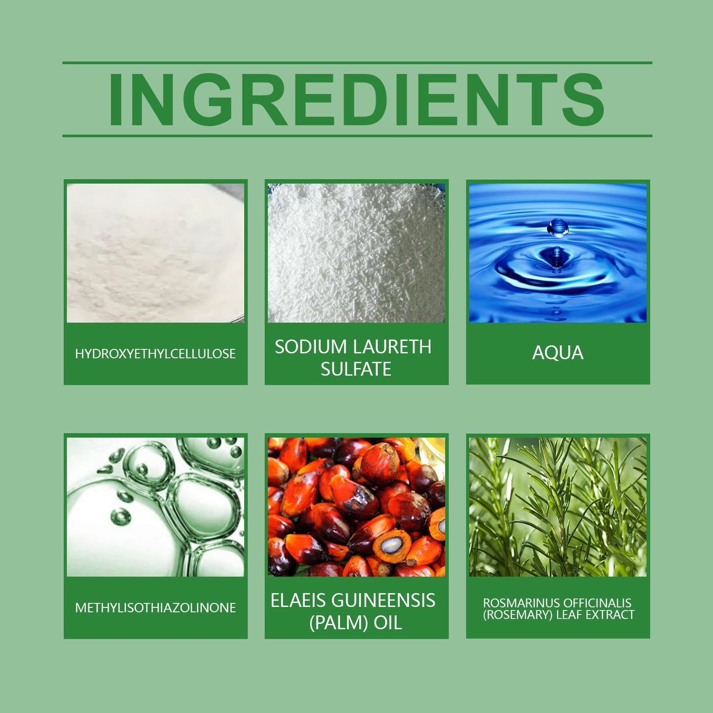 Shampoo Rosemary Extract
