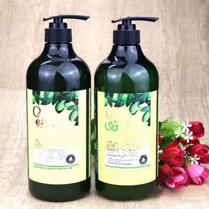 Shampoo