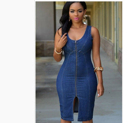 Shanxi Zipper Denim Dress