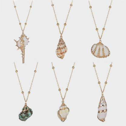 Shell Necklace