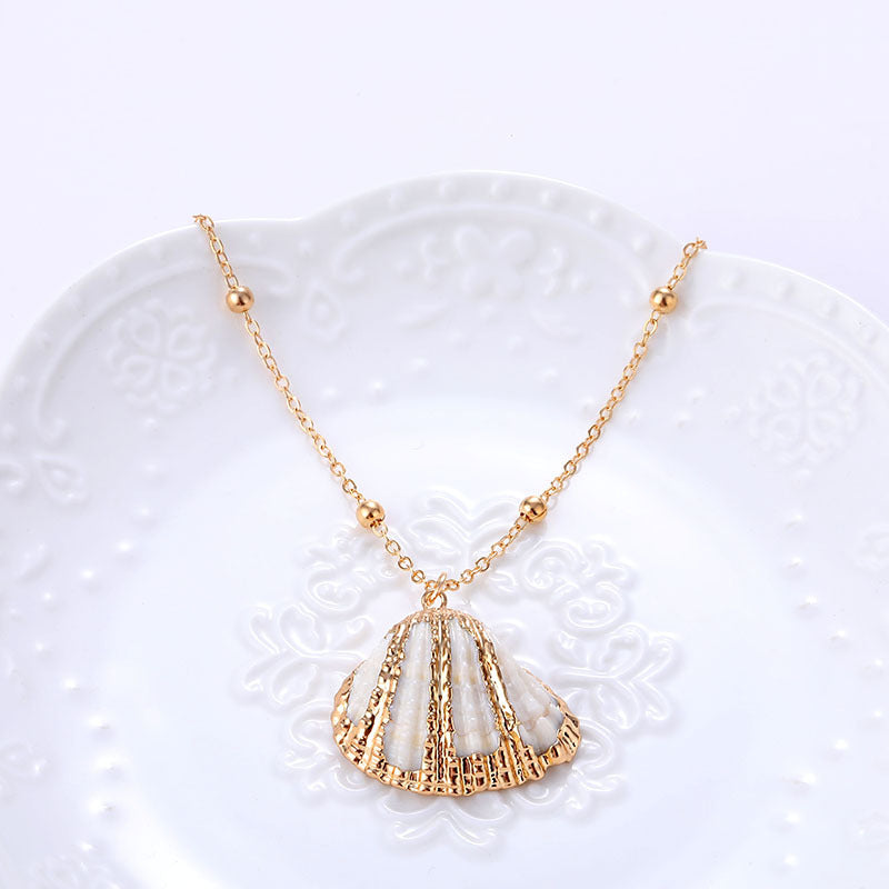 Shell Necklace