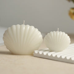 Small shell blue