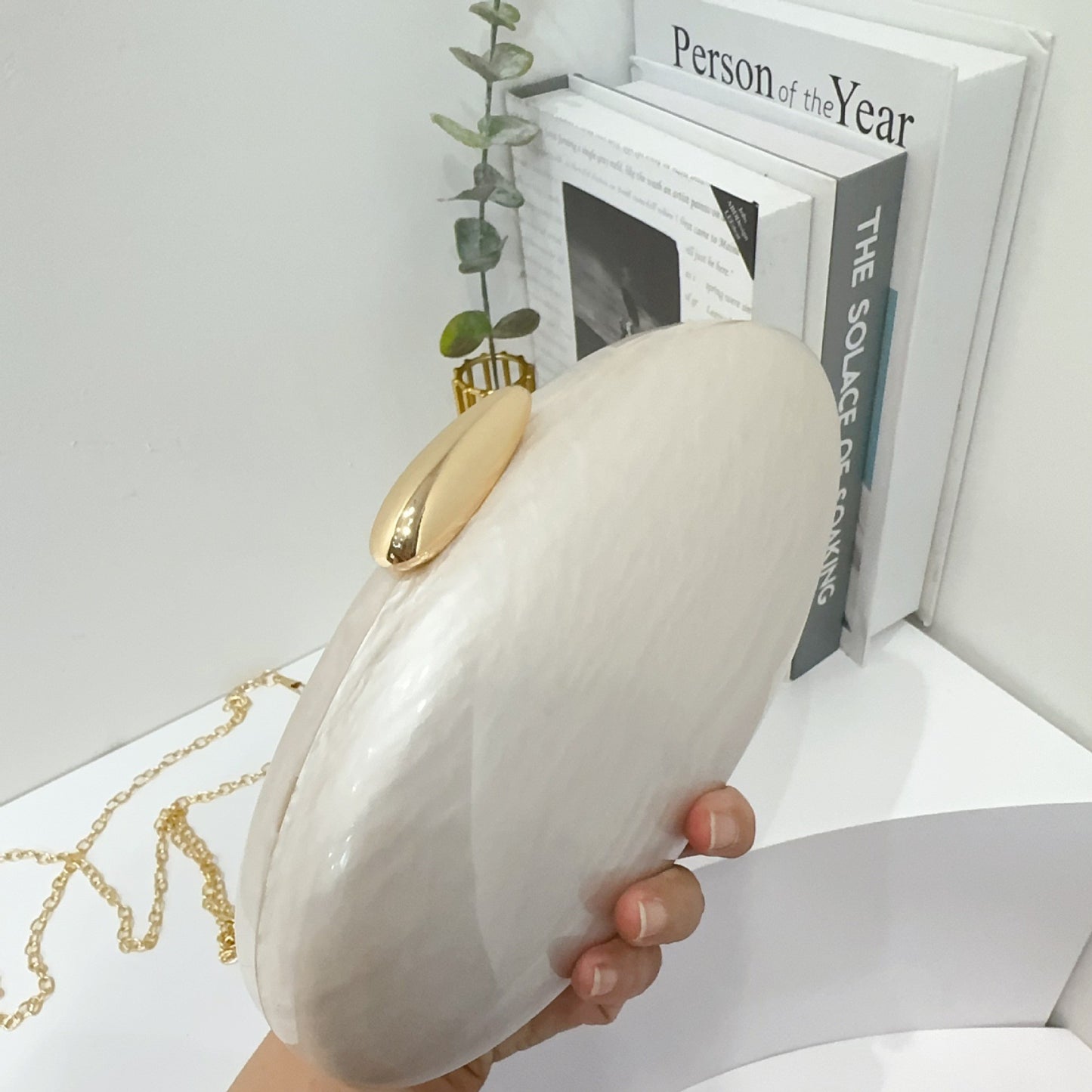 Shell Shaped Acrylic Evening Clutch Bag