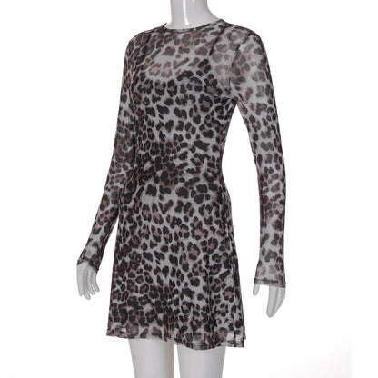 Shemoda Mesh Leopard Print Two-Piece Dress Set