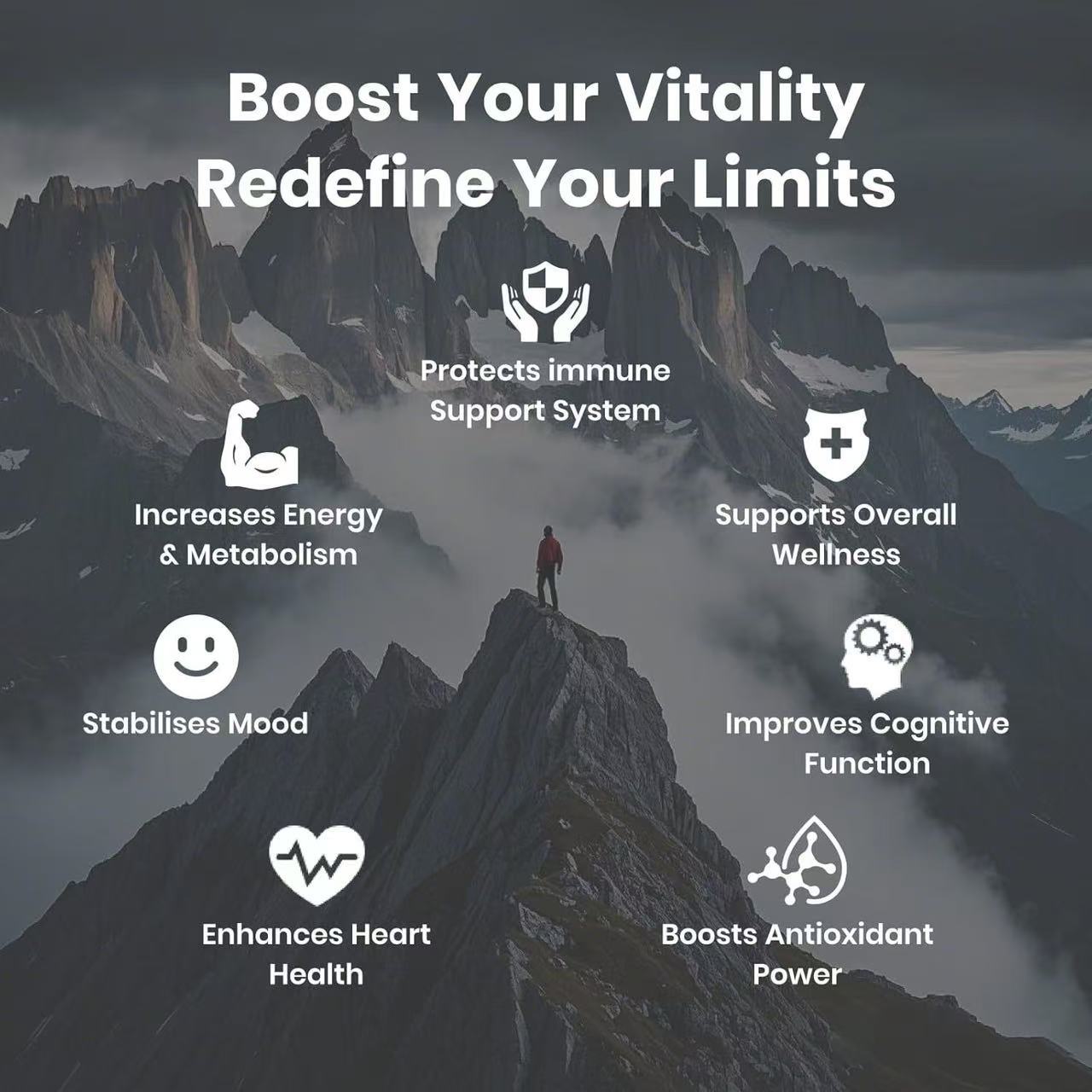 Shilajit capsules