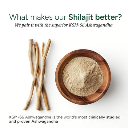 Shilajit gummy