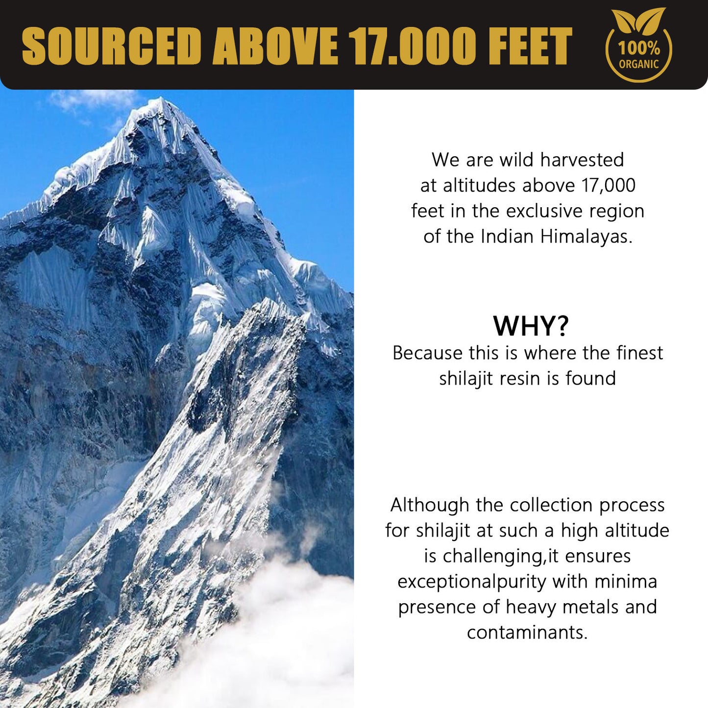 Shilajit resin paste