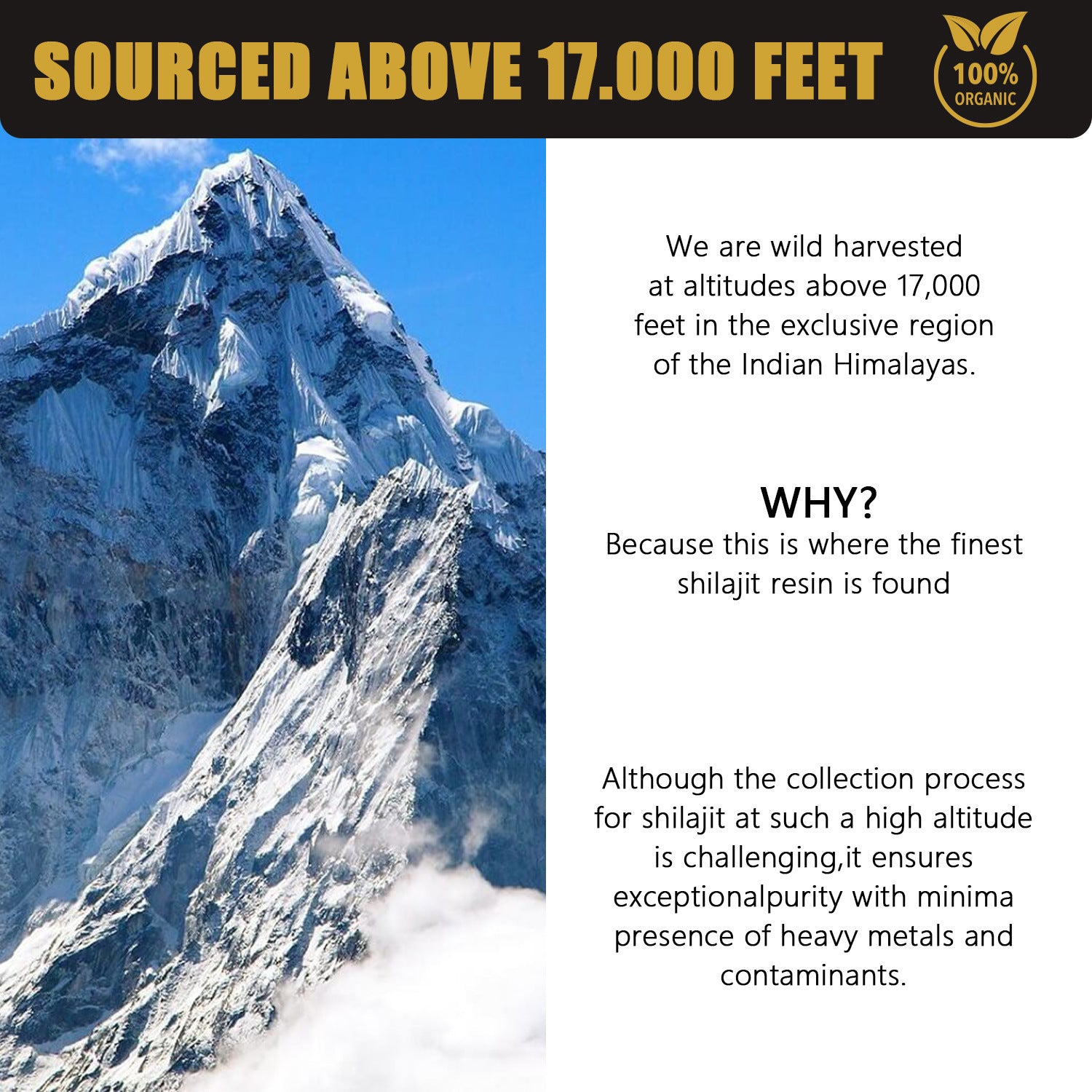 Shilajit resin paste