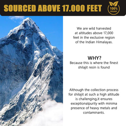 Shilajit resin paste
