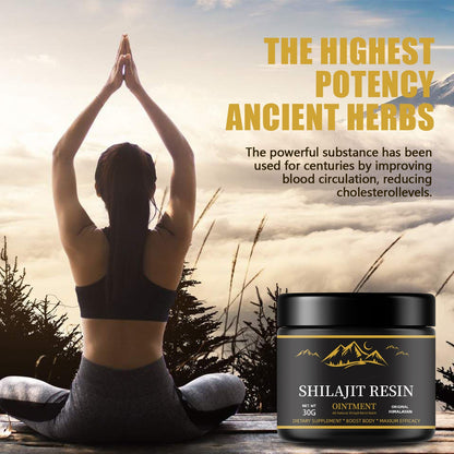 Shilajit resin paste