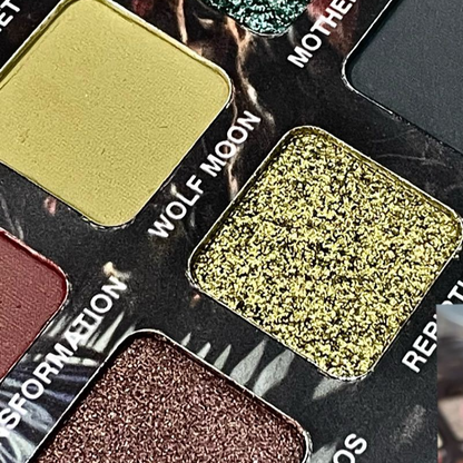 Shimmer Eyeshadow Palette