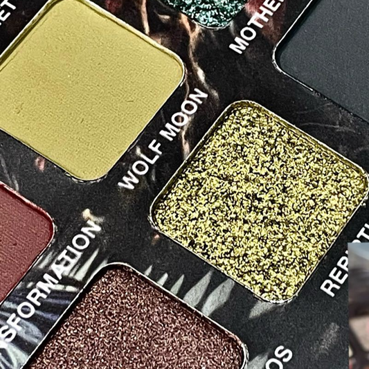 Shimmer Eyeshadow Palette