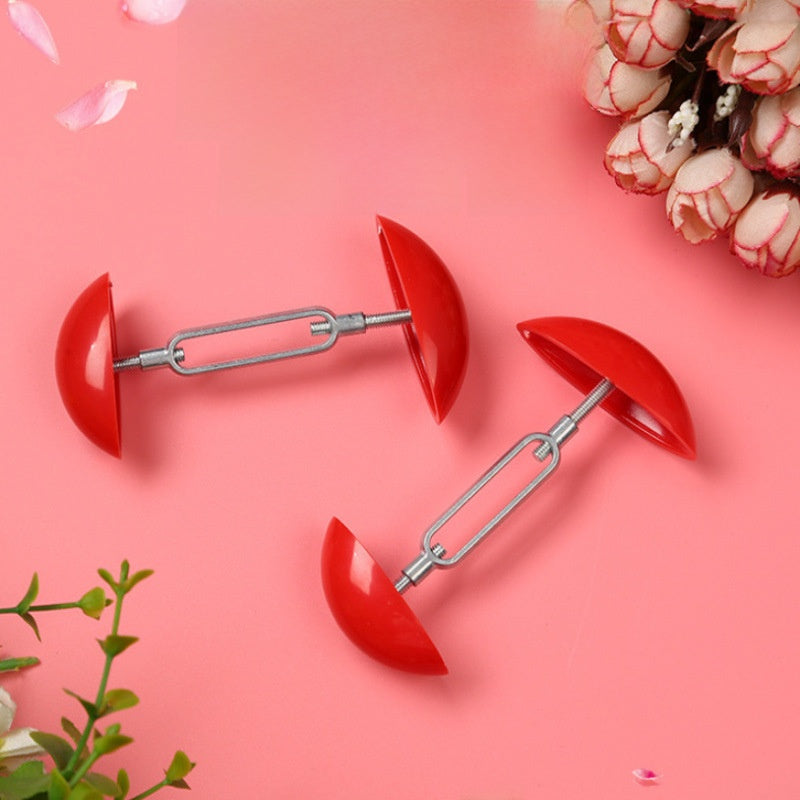shoe stretcher