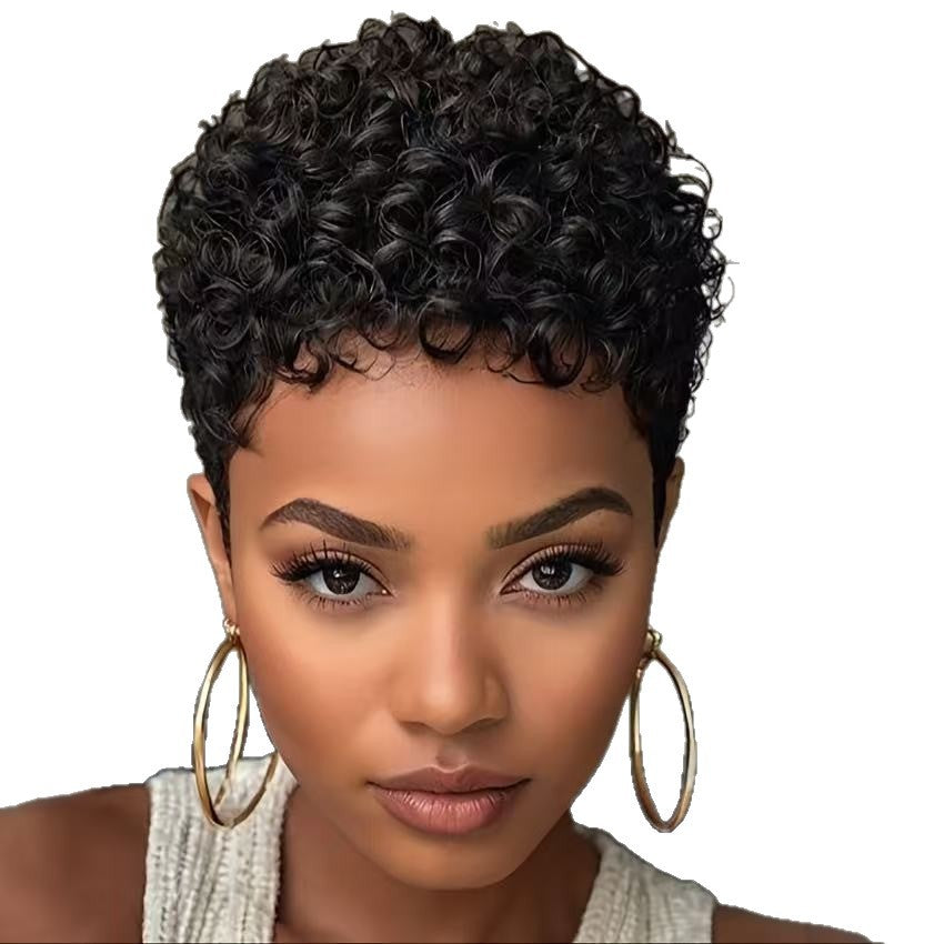 Short Curly Synthetic Hair Wig