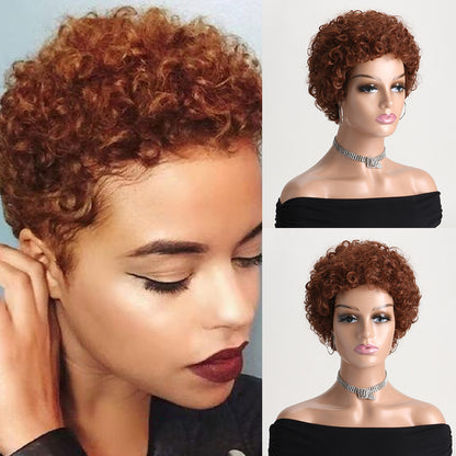 Short Curly Synthetic Hair Wig
