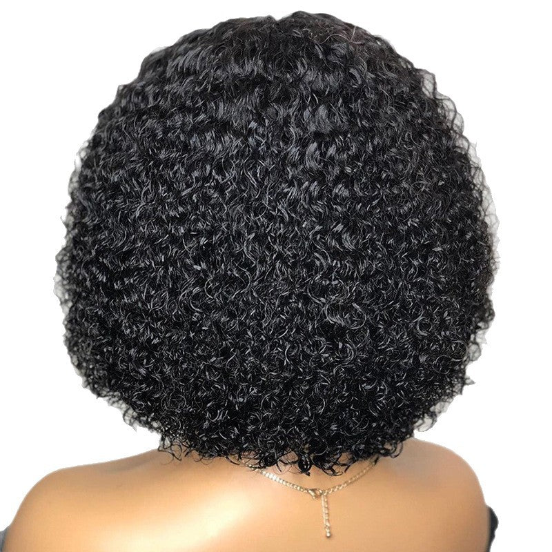 Short Curly Synthetic Lace Wig