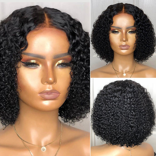 Short Curly Synthetic Lace Wig
