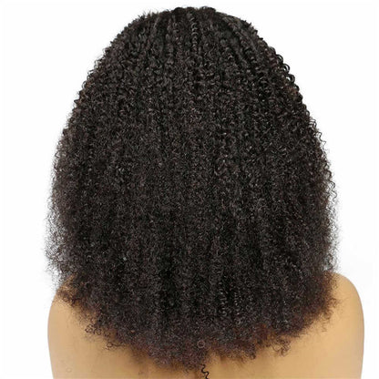 Short Curly Synthetic Wig