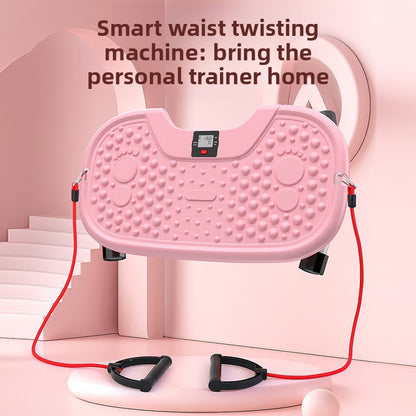Silent rotating waist training machine