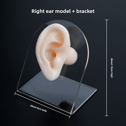 Silicone Ear-Picking Training Model