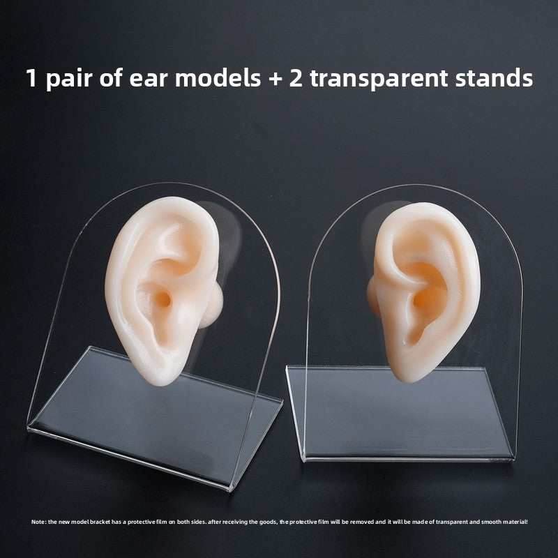 Silicone Ear-Picking Training Model