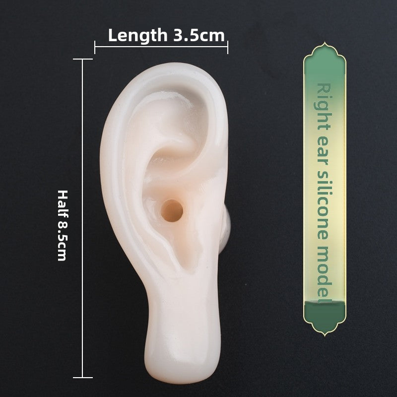 Silicone Ear-Picking Training Model