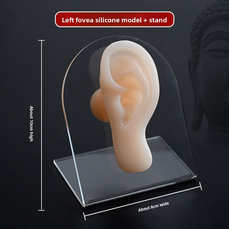 Silicone Ear-Picking Training Model