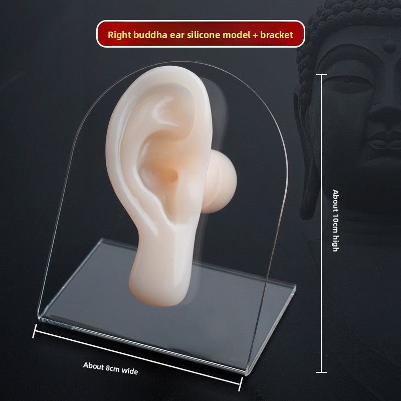 Silicone Ear-Picking Training Model